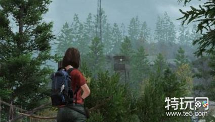 明日之后麻茎秆去哪找