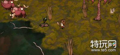 饥荒哈姆雷特家怎么升级 饥荒哈姆雷特家园升级攻略