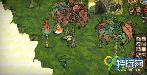 饥荒哈姆雷特雨林木种子怎么得 哈姆雷特雨林木怎么种植