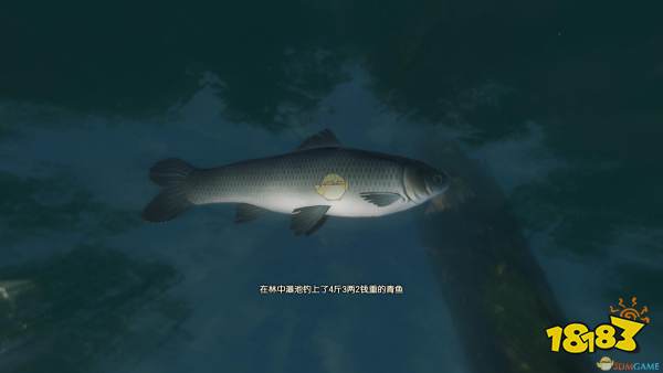 古剑奇谭3湖水岸钓鱼点可钓鱼种类一览