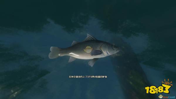 古剑奇谭3湖水岸钓鱼点可钓鱼种类一览