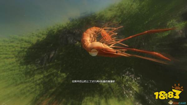 古剑奇谭3阳平钓鱼点可钓鱼种类一览