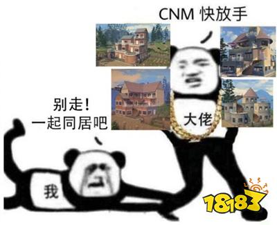 明日之后表情包