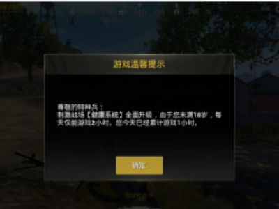 刺激战场健康系统是什么