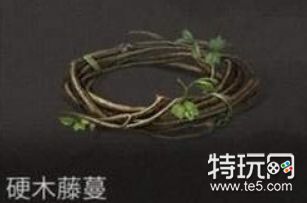 明日之后硬木藤蔓作用详解