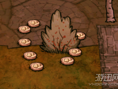 饥荒哈姆雷特藏宝图怎么得 藏宝图使用方法介绍