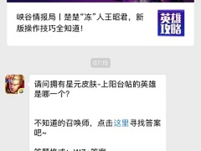 请问拥有星元皮肤-上阳台帖的英雄是哪一个？