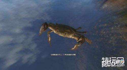 古剑奇谭3河蟹鱼苗在哪弄 古剑奇谭3河蟹鱼苗怎么得