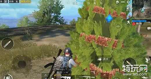 绝地求生刺激战场网红小树在哪 能浇水吐装备的树刷新位置一览