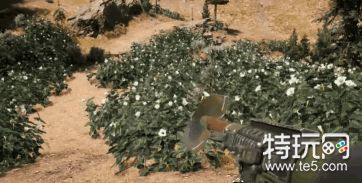 孤岛惊魂5铲子发射器怎么获得_有什么用怎么使用