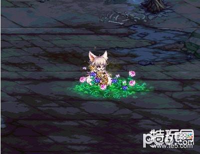 dnf天命英雄至尊宠物礼盒外观 dnf天命英雄至尊宠物礼盒外形预览