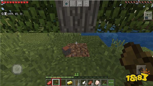 立派な Minecraft 耐久显示