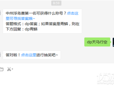 中州浮岛赛第一名可获得什么称号?