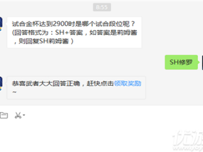 试合金杯达到2900时是哪个试合段位呢?