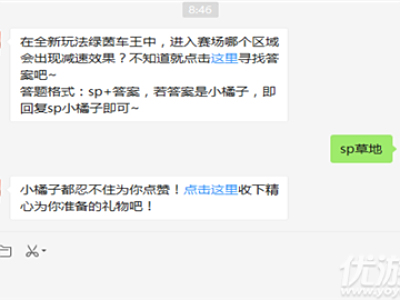 在全新玩法绿茵车王中，进入赛场哪个区域会出现减速效果？