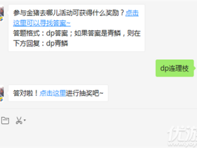 参与金猪去哪儿活动可获得什么奖励？