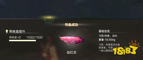 明日之后血红龙