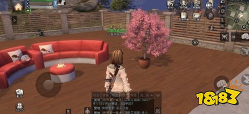 明日之后迎春桃花盆栽获得方法介绍