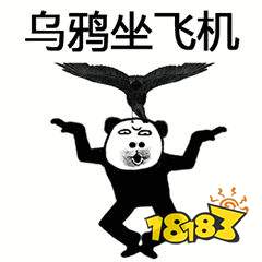 八口山铭笔金刚伏虎刀金刚伏魔杖白蛇吐信拈花指凤舞九天雪山剑法无影