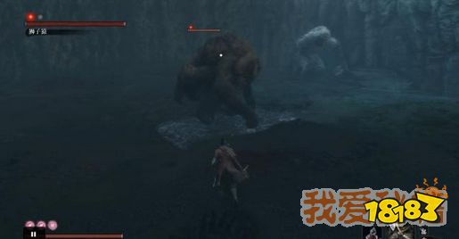 只狼血刀术获得方法-血刀术获取流程[多图]