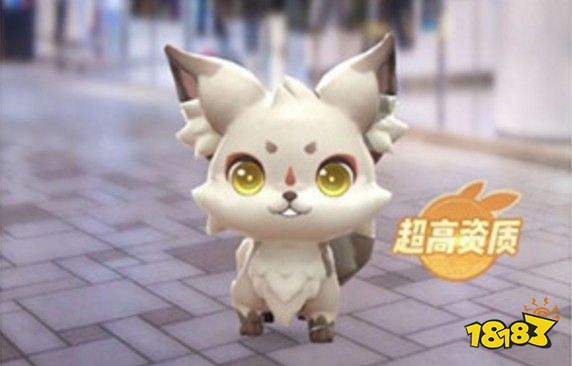 一起来捉妖小狐狸哪里多?小狐狸觉醒及位置分