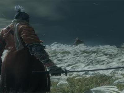 只狼蜈蚣怎么打