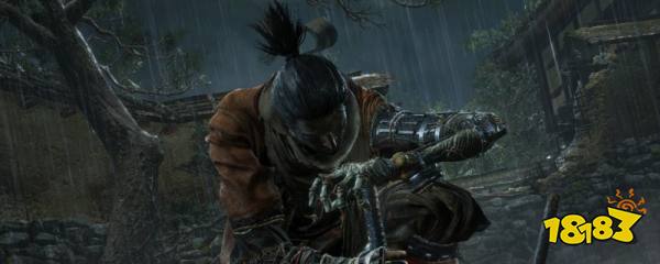 只狼抓猴子任务