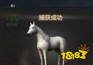 明日之后利皮扎马