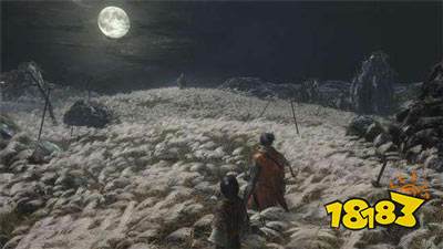 ���Ǻ�������������Ƭ��Ѫ���ӡ�����������8���Ⲩ����666