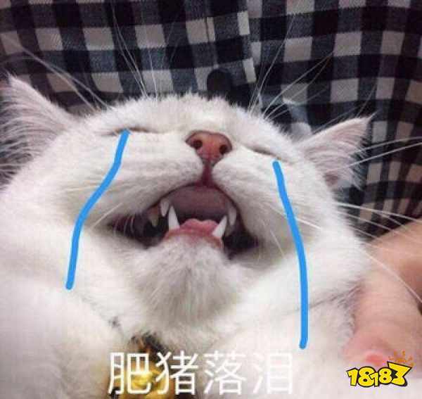抖音流泪猫猫头表情包