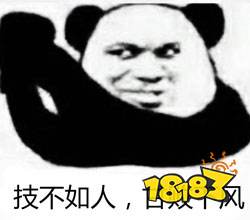 哈哈哈哈哈这是什么沙雕游戏?