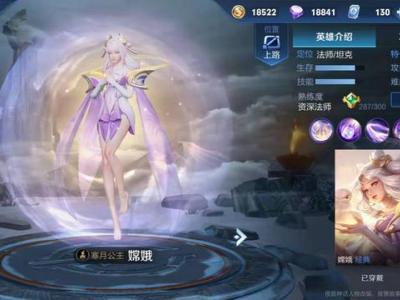 超高性价比英雄推荐 人美伤害高还自带动作