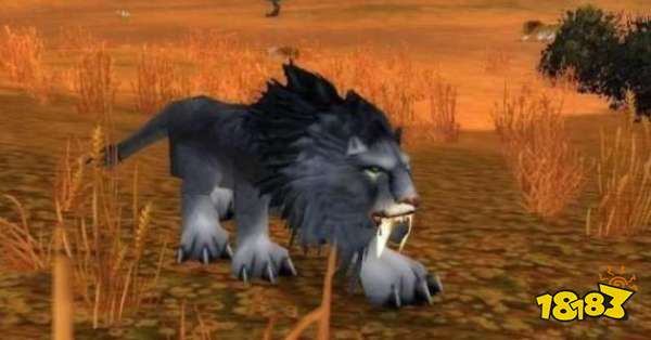 魔兽世界怀旧服断牙和修玛哪个好?怀旧服猫科宠物对比