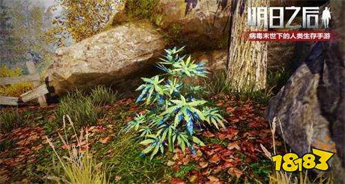 明日之后无畏征途攻略大全