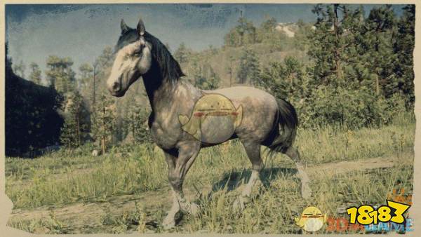 《荒野大镖客2》玫瑰灰毛色安达卢西亚马属性