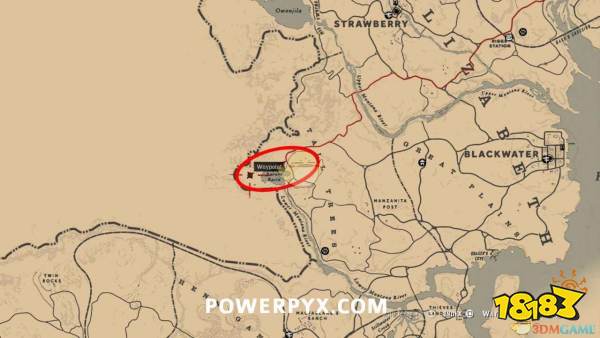 荒野大镖客2 北美黑啄木鸟图鉴一览 181手游门户 荒野大镖客2 北美黑啄木鸟图鉴一览 181手游门户