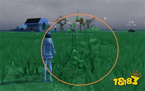 创造与魔法黄豆在哪 黄豆食谱介绍