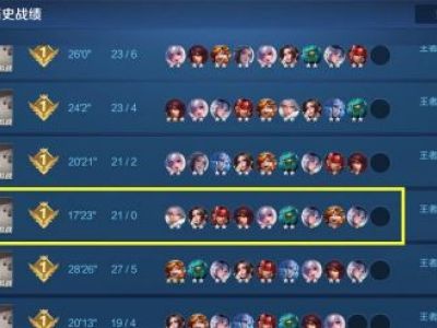 王者模拟战双排有什么无敌套路 模拟战双排上分阵容