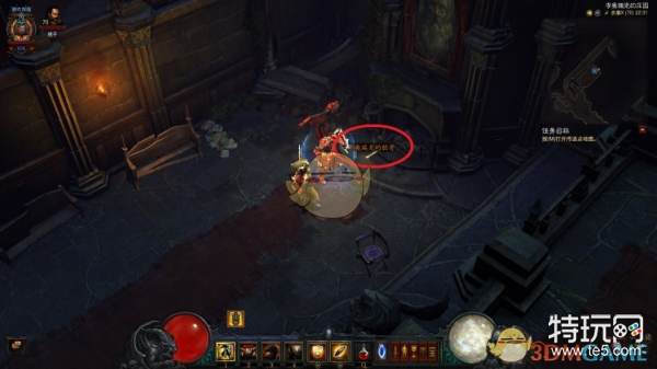 莱奥瑞克的胫骨 2.jpg