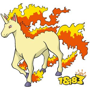 宝可梦剑盾烈焰马进化图鉴