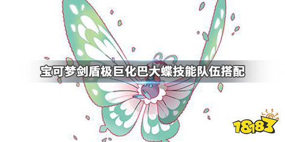 宝可梦剑盾极巨化巴大蝶怎么用极巨化巴大蝶技能队伍搭配介绍