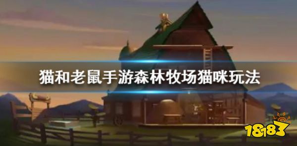 猫和老鼠手游森林牧场猫咪怎么玩