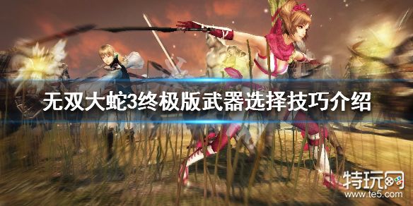 无双大蛇3终极版 武器怎么选择武器选择技巧介绍 特玩网