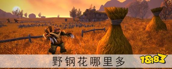 野钢花哪里多