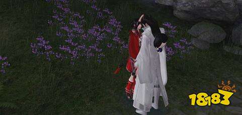 天涯明月刀手游和npc不能互动 明明好感达标了