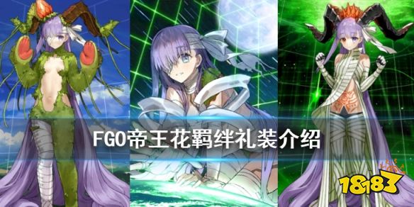 Fgo 帝王花羁绊礼装介绍金普洛提亚羁绊礼装这是双手满满的介绍 181手游门户