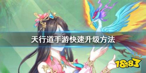 天行道手游新手快速升级攻略