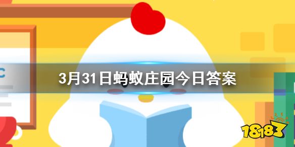 蚂蚁庄园米线_蚂蚁庄园寿星_米寿蚂蚁庄园