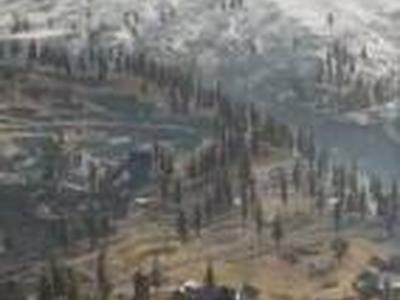 使命召唤战区枪械等级怎么看 枪械升级作用