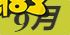 刺尾鲷鱼 《集合啦！动物森友会》拟刺尾鲷图鉴 回合制排行